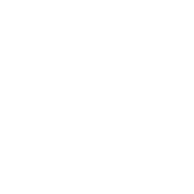 Logo FF blanc – Florian FREZARD